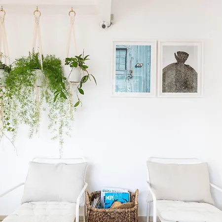 호텔 Sea House Afrodita Ii